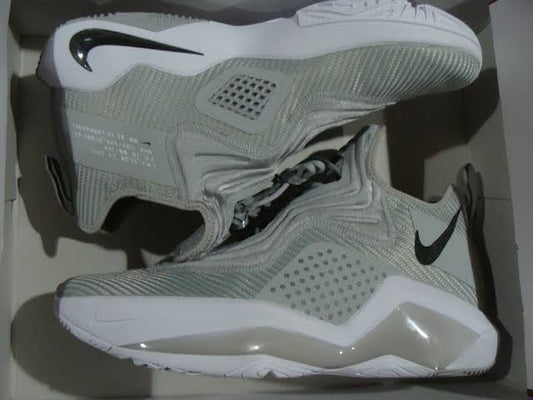 LeBron Soldier 14 TB 'Flat Silver'