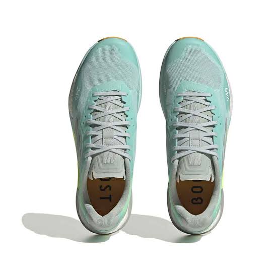 The adidas Terrex Agravic Ultra W